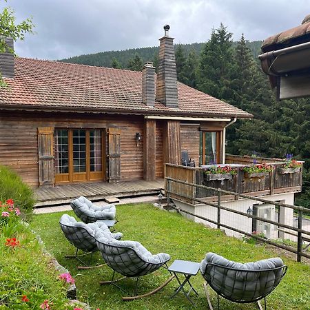 Au 21 Vosgien Bed & Breakfast Ventron Ngoại thất bức ảnh